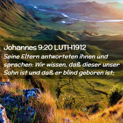 Picture 02 - Johannes 9:20 LUTH1912 - Seine Eltern antworteten ihnen und sprachen: Wir - Bible Verse Picture