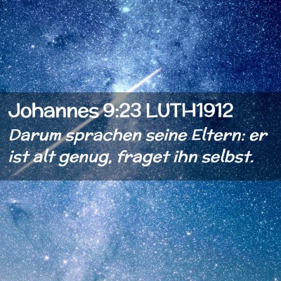 Picture 02 - Johannes 9:23 LUTH1912 - Darum sprachen seine Eltern: er ist alt genug, - Bible Verse Picture