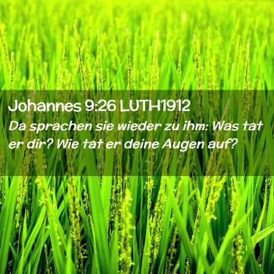 Picture 02 - Johannes 9:26 LUTH1912 - Da sprachen sie wieder zu ihm: Was tat er dir? - Bible Verse Picture