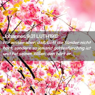 Picture 02 - Johannes 9:31 LUTH1912 - Wir wissen aber, daß Gott die Sünder nicht - Bible Verse Picture