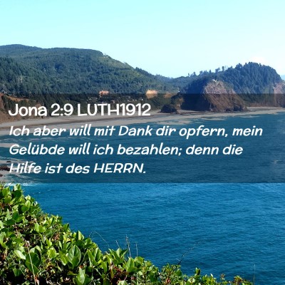 Picture 02 - Jona 2:9 LUTH1912 - Ich aber will mit Dank dir opfern, mein Gelübde - Bible Verse Picture