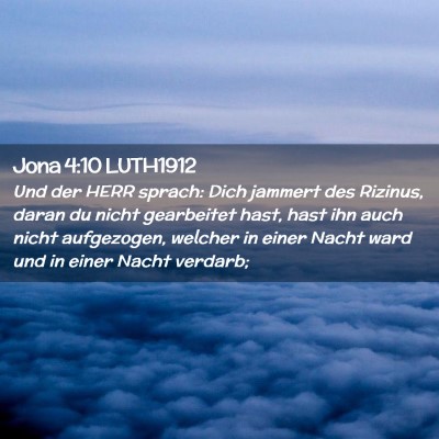 Picture 02 - Jona 4:10 LUTH1912 - Und der HERR sprach: Dich jammert des Rizinus, - Bible Verse Picture