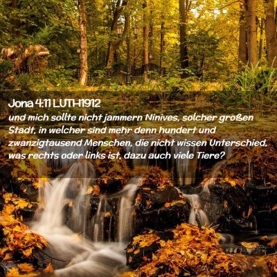 Picture 02 - Jona 4:11 LUTH1912 - und mich sollte nicht jammern Ninives, solcher - Bible Verse Picture