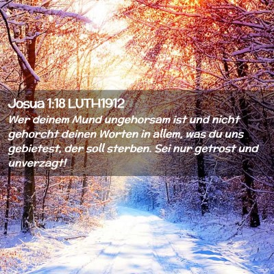 Picture 02 - Josua 1:18 LUTH1912 - Wer deinem Mund ungehorsam ist und nicht gehorcht - Bible Verse Picture
