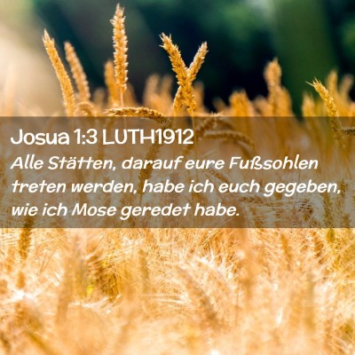 Picture 02 - Josua 1:3 LUTH1912 - Alle Stätten, darauf eure Fußsohlen treten - Bible Verse Picture