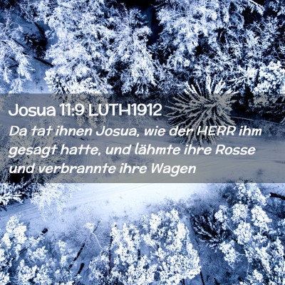 Picture 02 - Josua 11:9 LUTH1912 - Da tat ihnen Josua, wie der HERR ihm gesagt - Bible Verse Picture