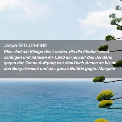 Picture 02 - Josua 12:1 LUTH1912 - Dies sind die Könige des Landes, die die Kinder - Bible Verse Picture