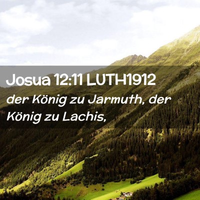 Picture 02 - Josua 12:11 LUTH1912 - der König zu Jarmuth, der König zu - Bible Verse Picture
