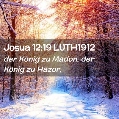 Picture 02 - Josua 12:19 LUTH1912 - der König zu Madon, der König zu - Bible Verse Picture