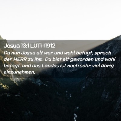 Picture 02 - Josua 13:1 LUTH1912 - Da nun Josua alt war und wohl betagt, sprach der - Bible Verse Picture