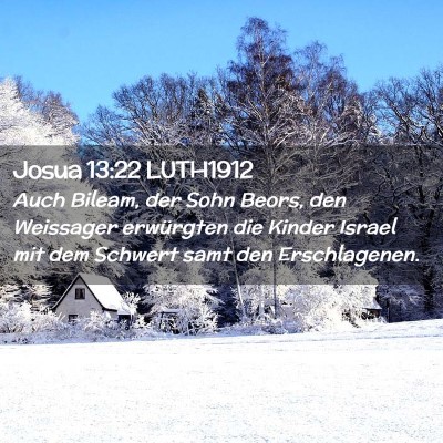 Picture 02 - Josua 13:22 LUTH1912 - Auch Bileam, der Sohn Beors, den Weissager - Bible Verse Picture