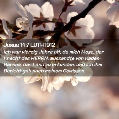 Picture 02 - Josua 14:7 LUTH1912 - Ich war vierzig Jahre alt, da mich Mose, der - Bible Verse Picture