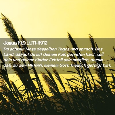 Picture 02 - Josua 14:9 LUTH1912 - Da schwur Mose desselben Tages und sprach: Das - Bible Verse Picture
