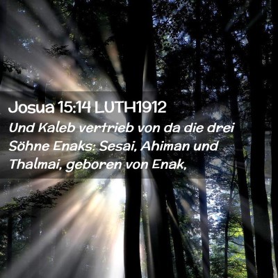 Picture 02 - Josua 15:14 LUTH1912 - Und Kaleb vertrieb von da die drei Söhne Enaks: - Bible Verse Picture