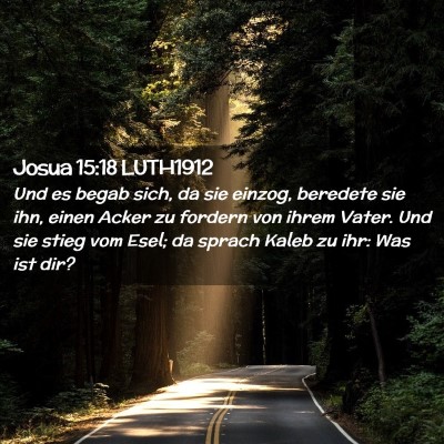 Picture 02 - Josua 15:18 LUTH1912 - Und es begab sich, da sie einzog, beredete sie - Bible Verse Picture