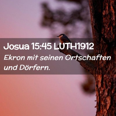 Picture 02 - Josua 15:45 LUTH1912 - Ekron mit seinen Ortschaften und - Bible Verse Picture