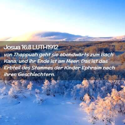 Picture 02 - Josua 16:8 LUTH1912 - von Thappuah geht sie abendwärts zum Bach Kana; - Bible Verse Picture