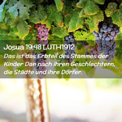Picture 02 - Josua 19:48 LUTH1912 - Das ist das Erbteil des Stammes der Kinder Dan - Bible Verse Picture