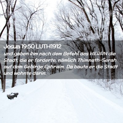 Picture 02 - Josua 19:50 LUTH1912 - und gaben ihm nach dem Befehl des HERRN die - Bible Verse Picture