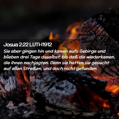 Picture 02 - Josua 2:22 LUTH1912 - Sie aber gingen hin und kamen aufs Gebirge und - Bible Verse Picture