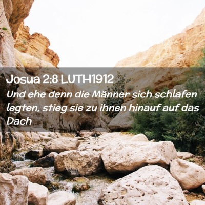 Picture 02 - Josua 2:8 LUTH1912 - Und ehe denn die Männer sich schlafen legten, - Bible Verse Picture