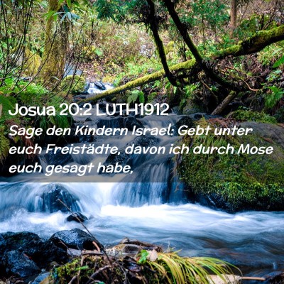 Picture 02 - Josua 20:2 LUTH1912 - Sage den Kindern Israel: Gebt unter euch - Bible Verse Picture