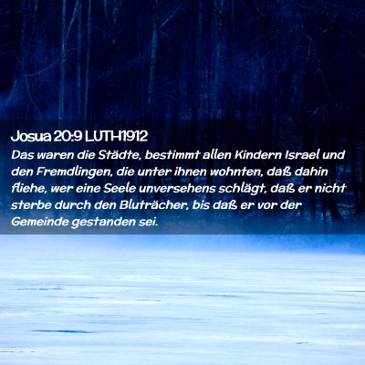 Picture 02 - Josua 20:9 LUTH1912 - Das waren die Städte, bestimmt allen Kindern - Bible Verse Picture