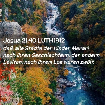 Picture 02 - Josua 21:40 LUTH1912 - daß alle Städte der Kinder Merari nach ihren - Bible Verse Picture