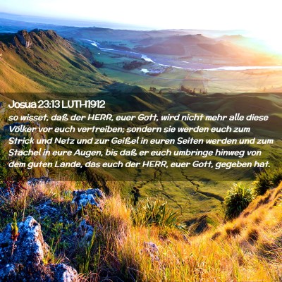 Picture 02 - Josua 23:13 LUTH1912 - so wisset, daß der HERR, euer Gott, wird nicht - Bible Verse Picture