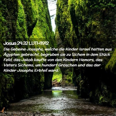 Picture 02 - Josua 24:32 LUTH1912 - Die Gebeine Josephs, welche die Kinder Israel - Bible Verse Picture