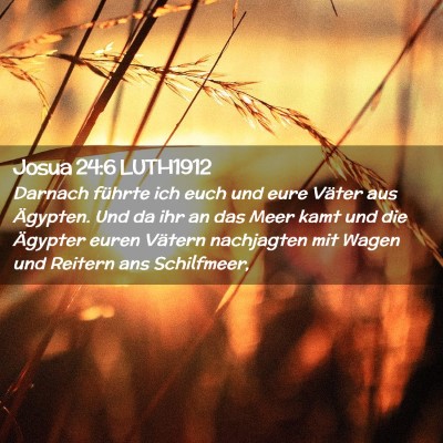 Picture 02 - Josua 24:6 LUTH1912 - Darnach führte ich euch und eure Väter aus - Bible Verse Picture