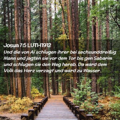 Picture 02 - Josua 7:5 LUTH1912 - Und die von Ai schlugen ihrer bei - Bible Verse Picture
