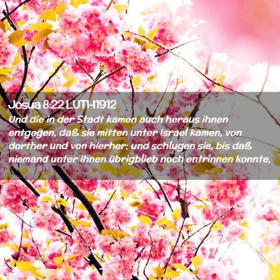 Picture 02 - Josua 8:22 LUTH1912 - Und die in der Stadt kamen auch heraus ihnen - Bible Verse Picture