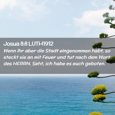 Picture 02 - Josua 8:8 LUTH1912 - Wenn ihr aber die Stadt eingenommen habt, so - Bible Verse Picture