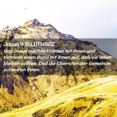 Picture 02 - Josua 9:15 LUTH1912 - Und Josua machte Frieden mit ihnen und richtete - Bible Verse Picture