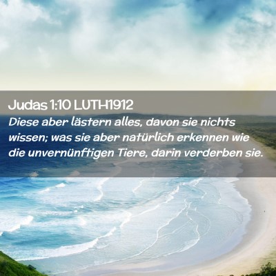 Picture 02 - Judas 1:10 LUTH1912 - Diese aber lästern alles, davon sie nichts - Bible Verse Picture