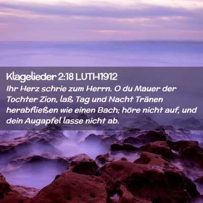 Picture 02 - Klagelieder 2:18 LUTH1912 - Ihr Herz schrie zum Herrn. O du Mauer der Tochter - Bible Verse Picture