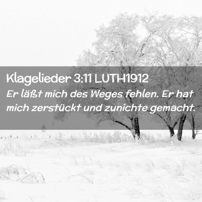 Picture 02 - Klagelieder 3:11 LUTH1912 - Er läßt mich des Weges fehlen. Er hat mich - Bible Verse Picture