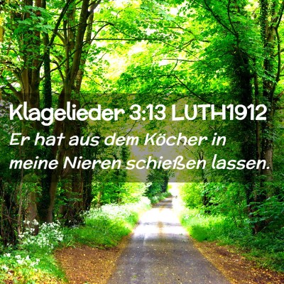 Picture 02 - Klagelieder 3:13 LUTH1912 - Er hat aus dem Köcher in meine Nieren schießen - Bible Verse Picture