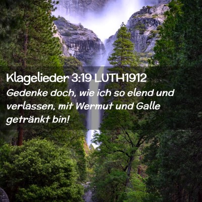 Picture 02 - Klagelieder 3:19 LUTH1912 - Gedenke doch, wie ich so elend und verlassen, mit - Bible Verse Picture