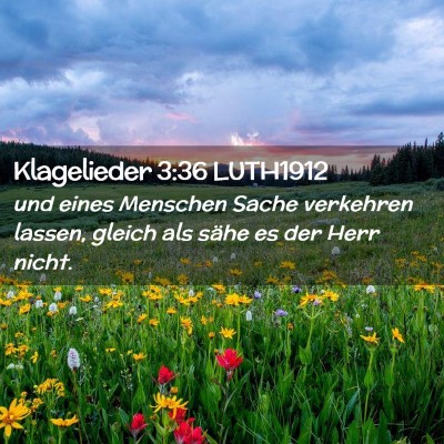 Picture 02 - Klagelieder 3:36 LUTH1912 - und eines Menschen Sache verkehren lassen, gleich - Bible Verse Picture