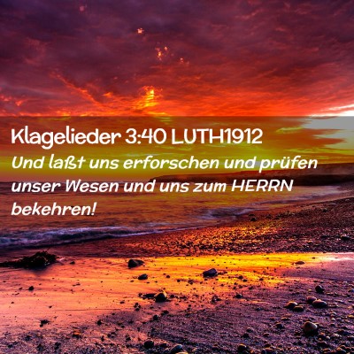 Picture 02 - Klagelieder 3:40 LUTH1912 - Und laßt uns erforschen und prüfen unser Wesen - Bible Verse Picture