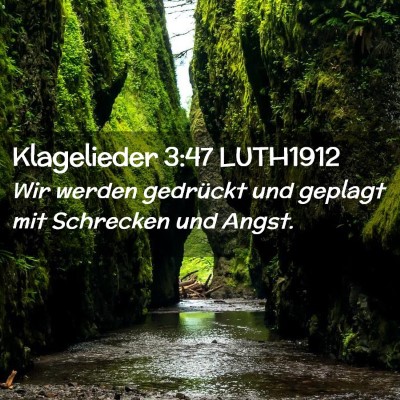 Picture 02 - Klagelieder 3:47 LUTH1912 - Wir werden gedrückt und geplagt mit Schrecken - Bible Verse Picture