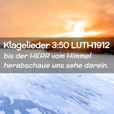 Picture 02 - Klagelieder 3:50 LUTH1912 - bis der HERR vom Himmel herabschaue uns sehe - Bible Verse Picture