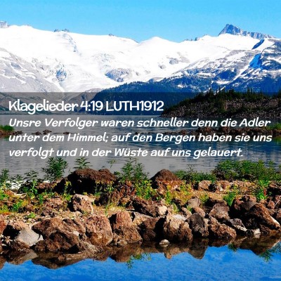 Picture 02 - Klagelieder 4:19 LUTH1912 - Unsre Verfolger waren schneller denn die Adler - Bible Verse Picture