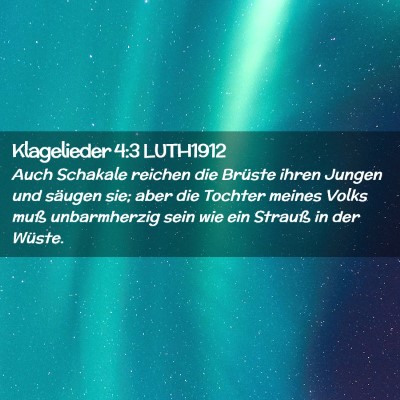Picture 02 - Klagelieder 4:3 LUTH1912 - Auch Schakale reichen die Brüste ihren Jungen - Bible Verse Picture