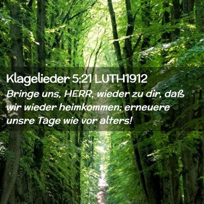 Picture 02 - Klagelieder 5:21 LUTH1912 - Bringe uns, HERR, wieder zu dir, daß wir wieder - Bible Verse Picture