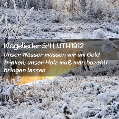 Picture 02 - Klagelieder 5:4 LUTH1912 - Unser Wasser müssen wir um Geld trinken; unser - Bible Verse Picture
