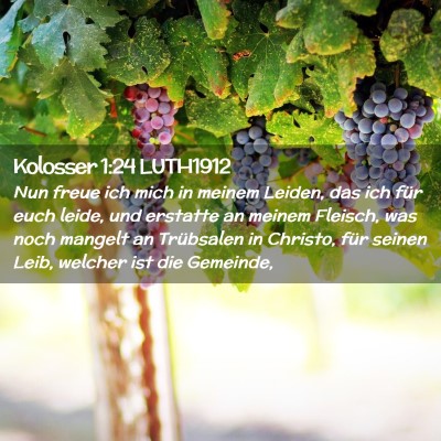 Picture 02 - Kolosser 1:24 LUTH1912 - Nun freue ich mich in meinem Leiden, das ich für - Bible Verse Picture