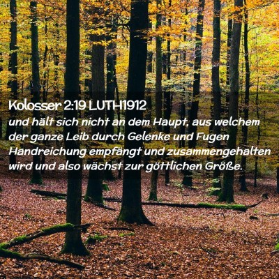 Picture 02 - Kolosser 2:19 LUTH1912 - und hält sich nicht an dem Haupt, aus welchem - Bible Verse Picture